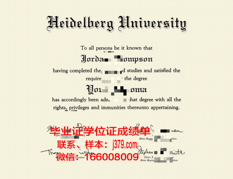 海德堡教育学院毕业证图片(海德堡大学教育学)