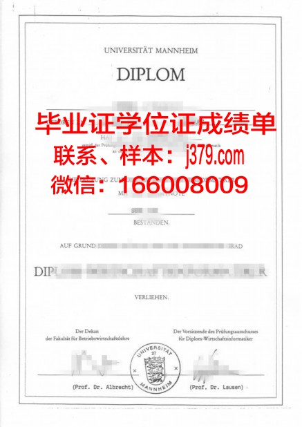 国立曼海姆音乐与表演艺术学院毕业证外壳(德国国立曼海姆音乐学院)