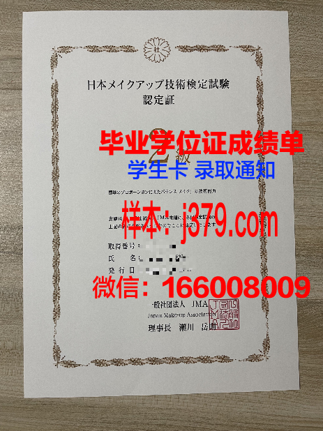 国家计算机与新兴科学大学diploma证书(新国大计算机学院)