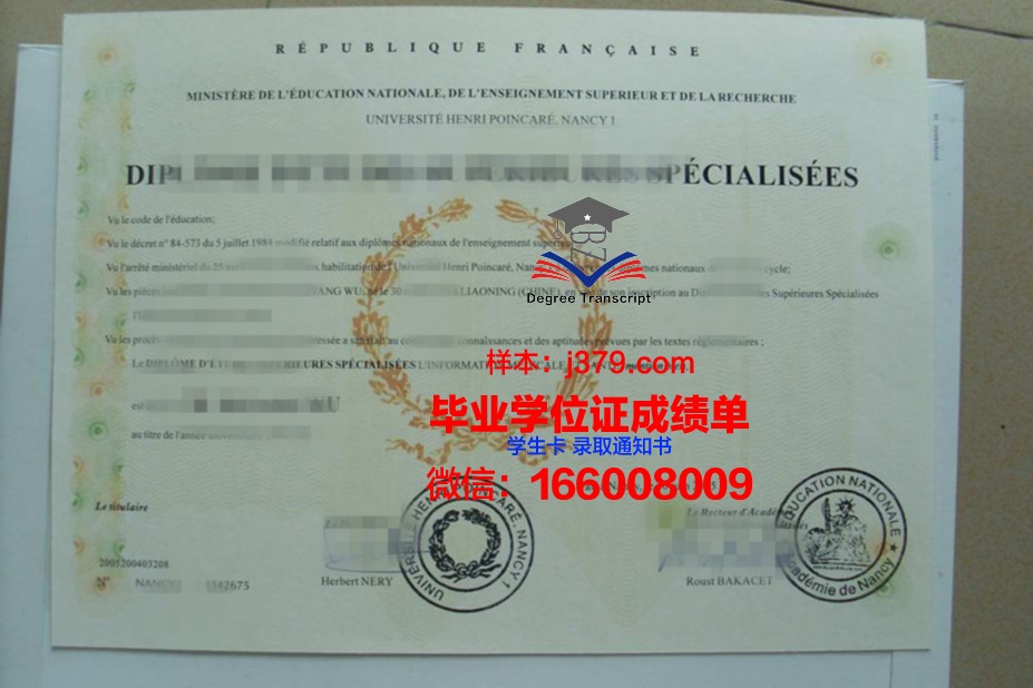 洛林大学南锡国立高等矿业学院毕业证成绩单