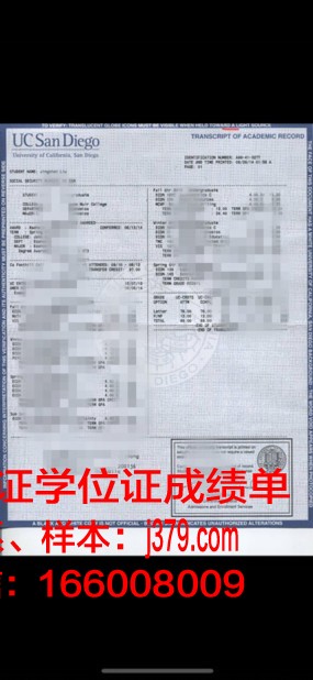 国立技大成绩单：一份见证成长与荣耀的证书