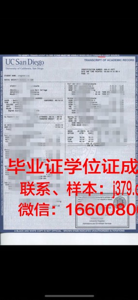 国民学位成绩单定制：个性化教育的创新实践