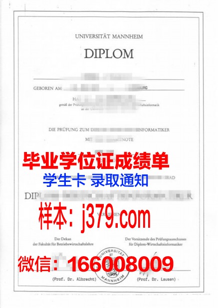 国立曼海姆音乐与表演艺术学院学位证书(曼海姆音乐学院暑期夏令营)