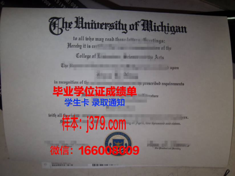 毕业证大小(毕业证大小怎么修改)