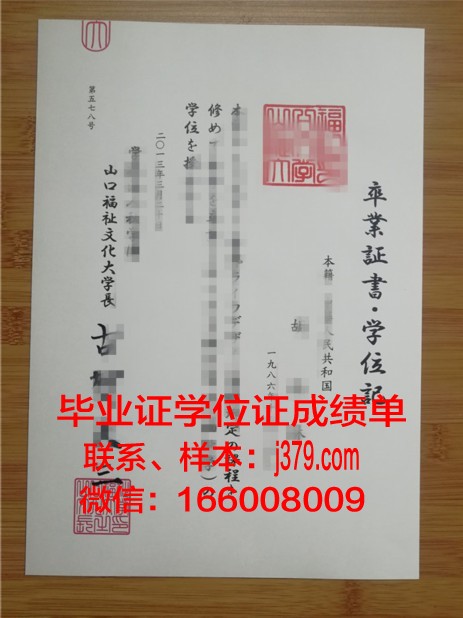 山口县立大学毕业证补办