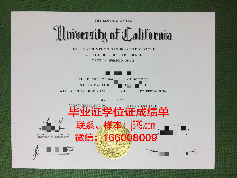 毕业证dyno：内涵与价值探究
