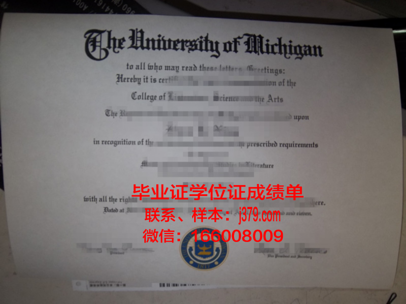 尤戈尔斯克国立大学毕业证：一份承载荣誉与梦想的证书