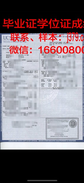 毕业生成绩单下载全攻略：轻松获取你的学习成果