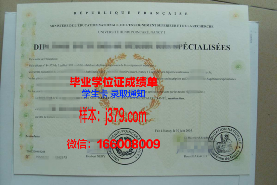洛林大学南锡国立高等矿业学院学历证书