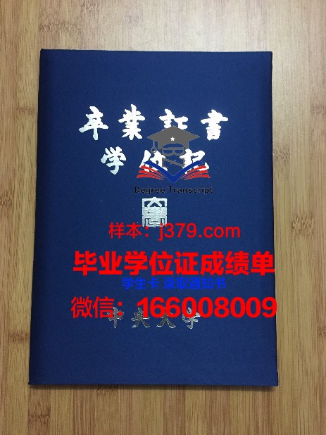 旁遮普中央大学成绩单：教育成果的见证