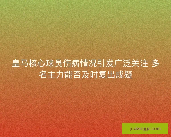 皇马核心球员伤病情况引发广泛关注 多名主力能否及时复出成疑